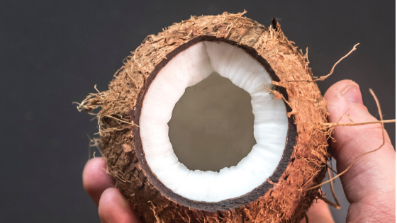 what's so good in coconut oil?
