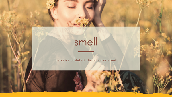 smell - perceive or detect the odour or scent